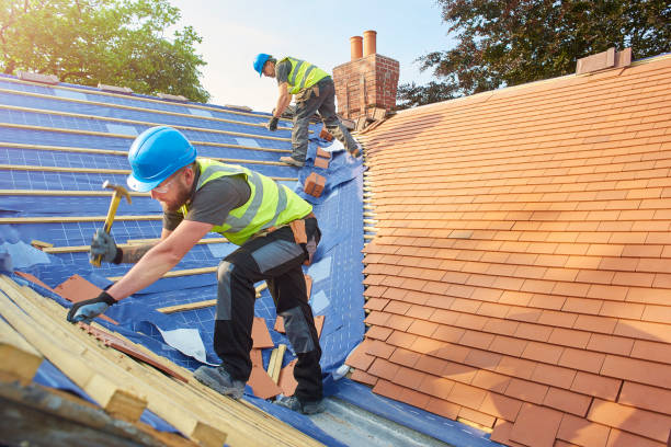 Best Roof Moss and Algae Removal  in Mitchell, SD